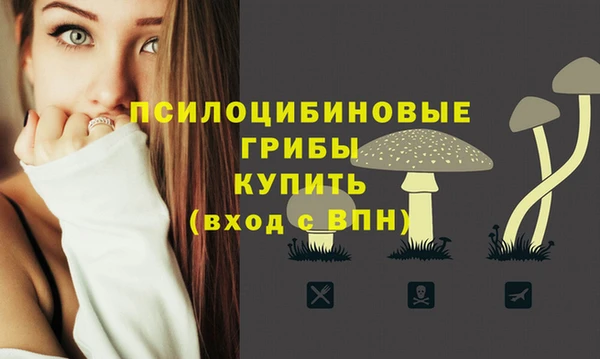 соль ск Гусев