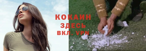 соль ск Гусев