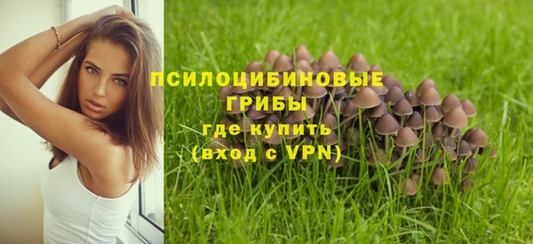соль ск Гусев