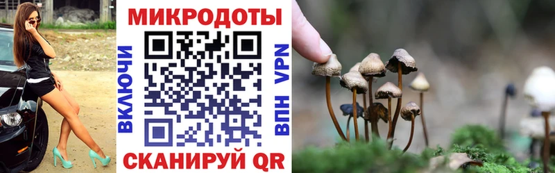 Купить  Похвистнево  Псилоцибиновые грибы мухоморы 